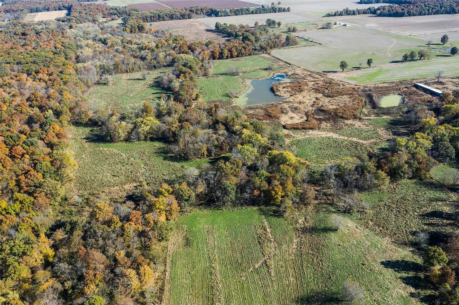 6111 Quail Run Road Salem, IL 62881 - Photo 29 of 65