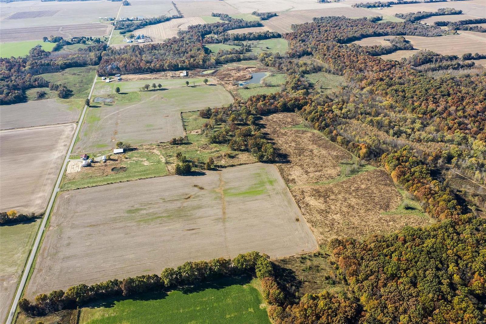 6111 Quail Run Road Salem, IL 62881 - Photo 4 of 65
