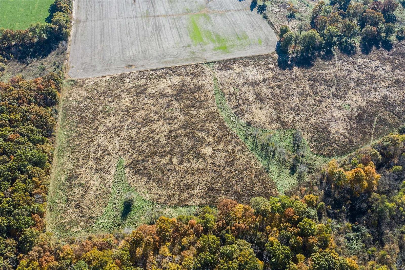 6111 Quail Run Road Salem, IL 62881 - Photo 45 of 65