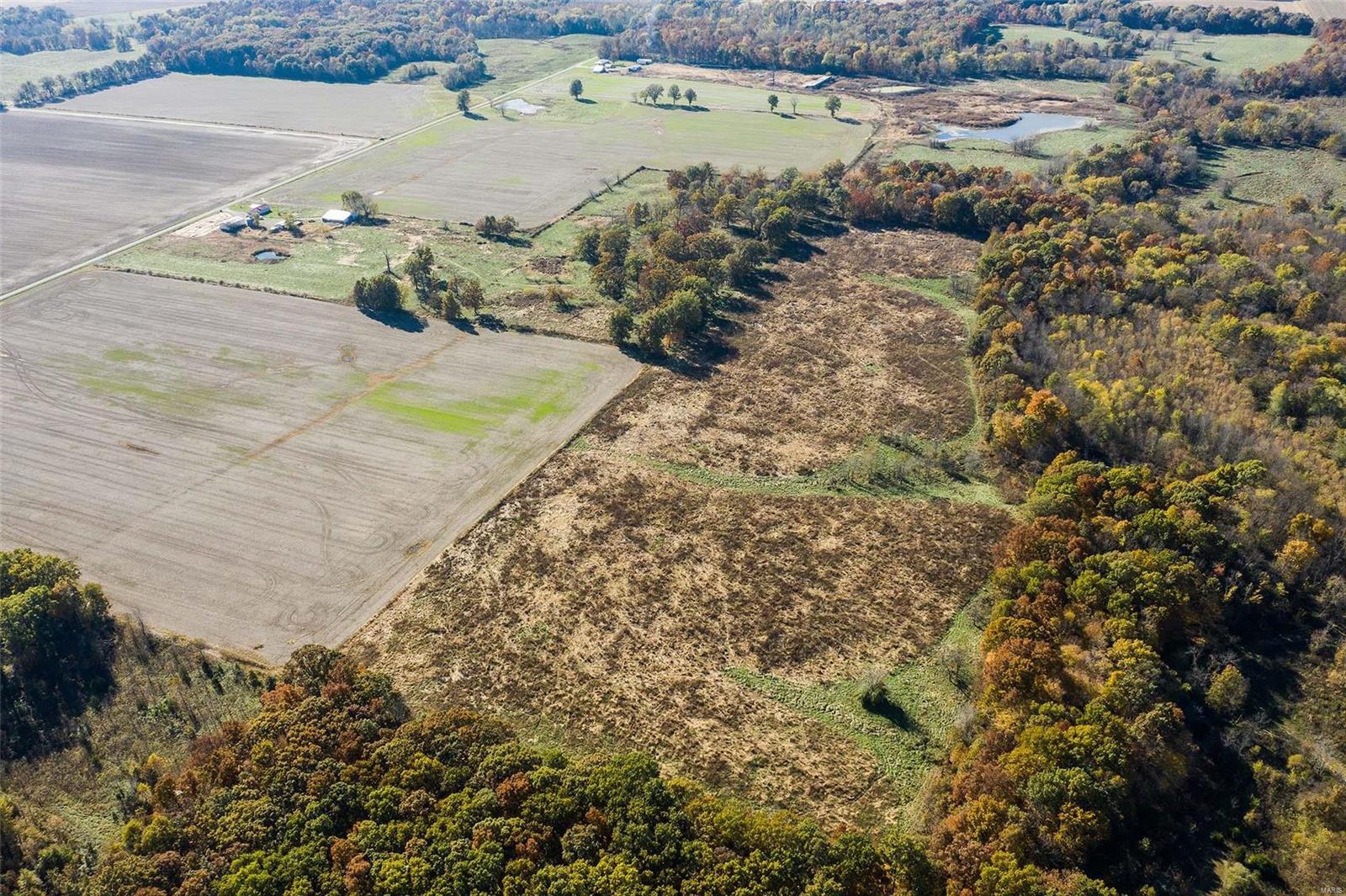 6111 Quail Run Road Salem, IL 62881 - Photo 48 of 65