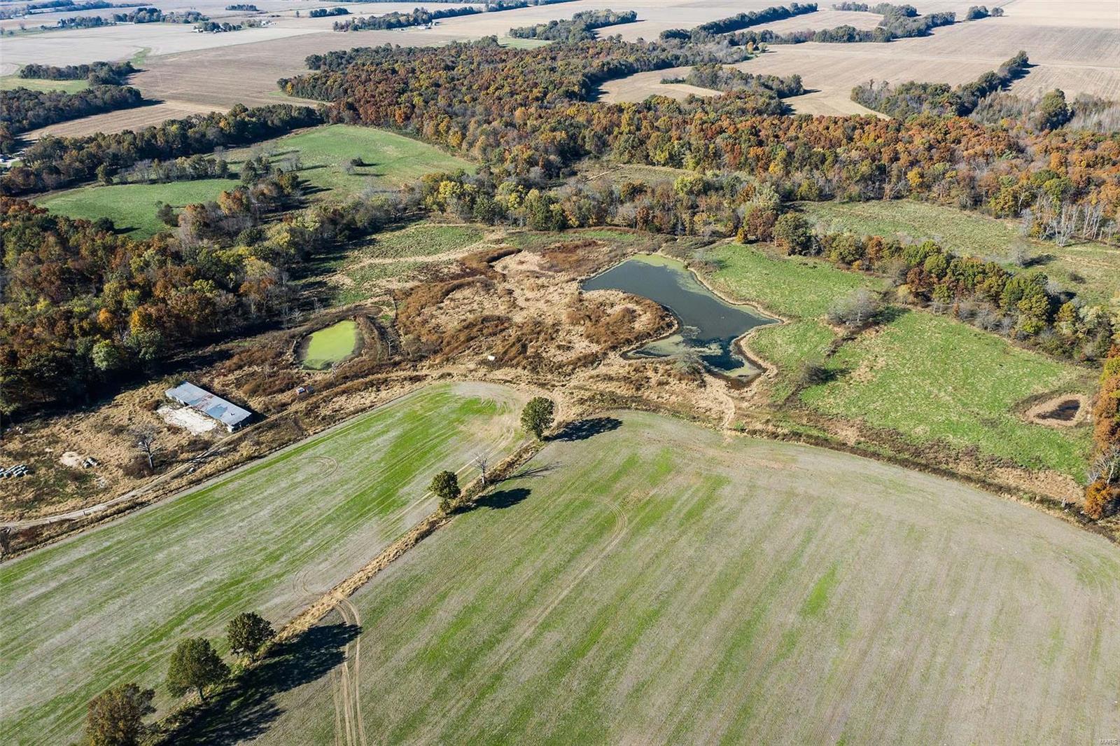 6111 Quail Run Road Salem, IL 62881 - Photo 54 of 65