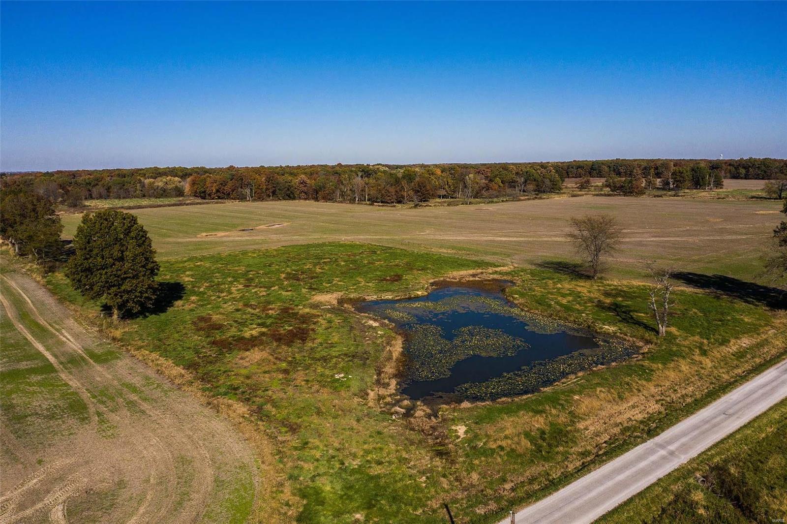 6111 Quail Run Road Salem, IL 62881 - Photo 56 of 65