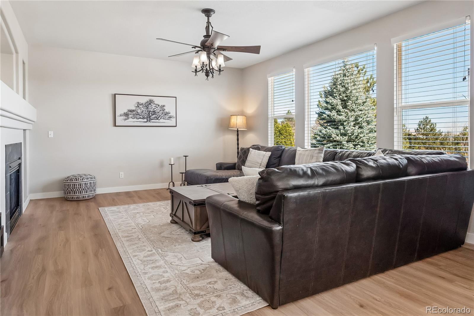 10836 Hickory Ridge Lane Highlands Ranch, CO 80126 - Photo 11 of 48 Gallery Image 11