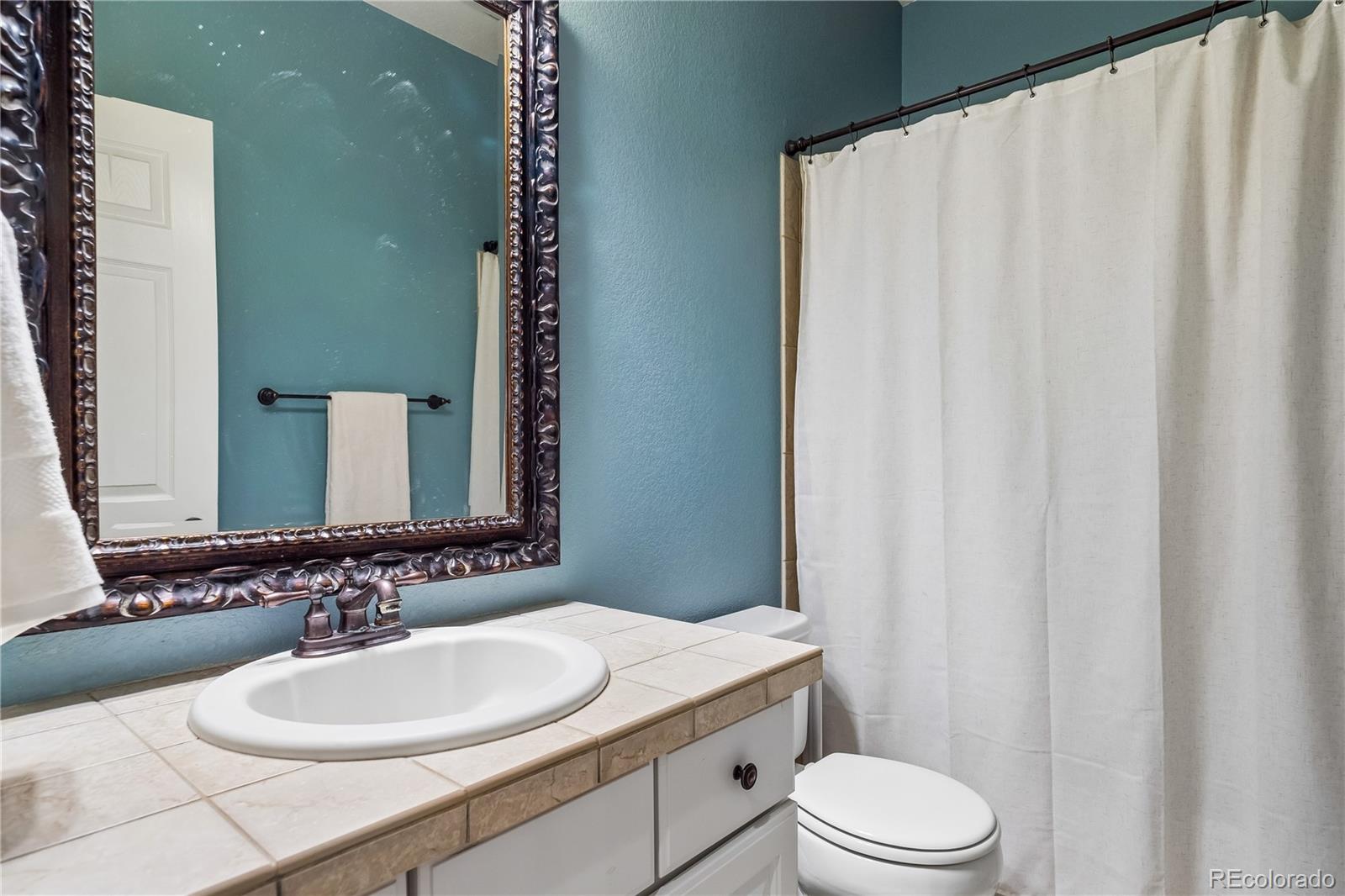 10836 Hickory Ridge Lane Highlands Ranch, CO 80126 - Photo 15 of 48 Gallery Image 15