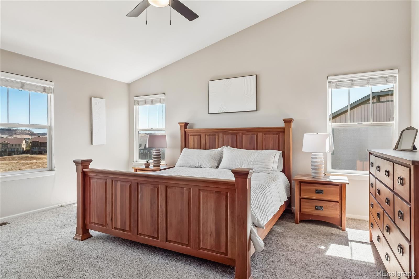 10836 Hickory Ridge Lane Highlands Ranch, CO 80126 - Photo 18 of 48 Gallery Image 18