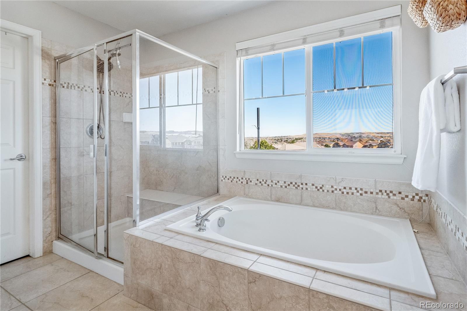 10836 Hickory Ridge Lane Highlands Ranch, CO 80126 - Photo 19 of 48 Gallery Image 19
