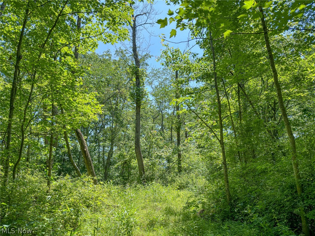 0 Twp Road Marietta, OH 45750 - Photo 26 of 50