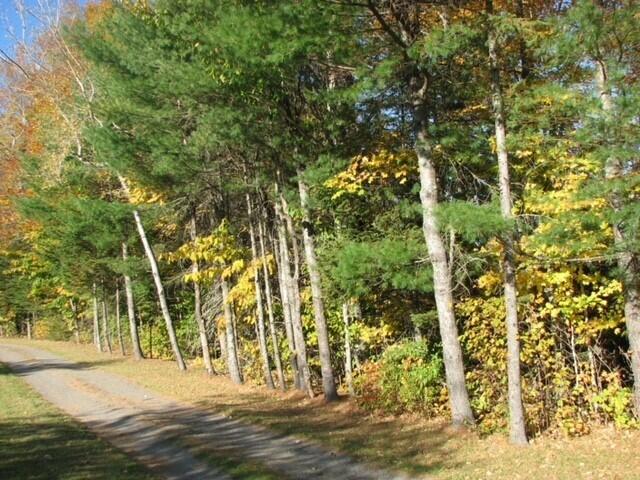 540 Downs Road Sebec, ME 04481 - Photo 46 of 59 Sue Santore 25