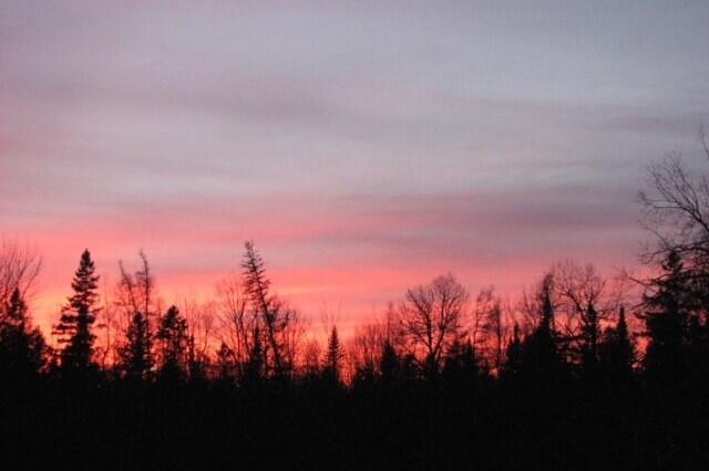 540 Downs Road Sebec, ME 04481 - Photo 48 of 59 Sue Santore 23