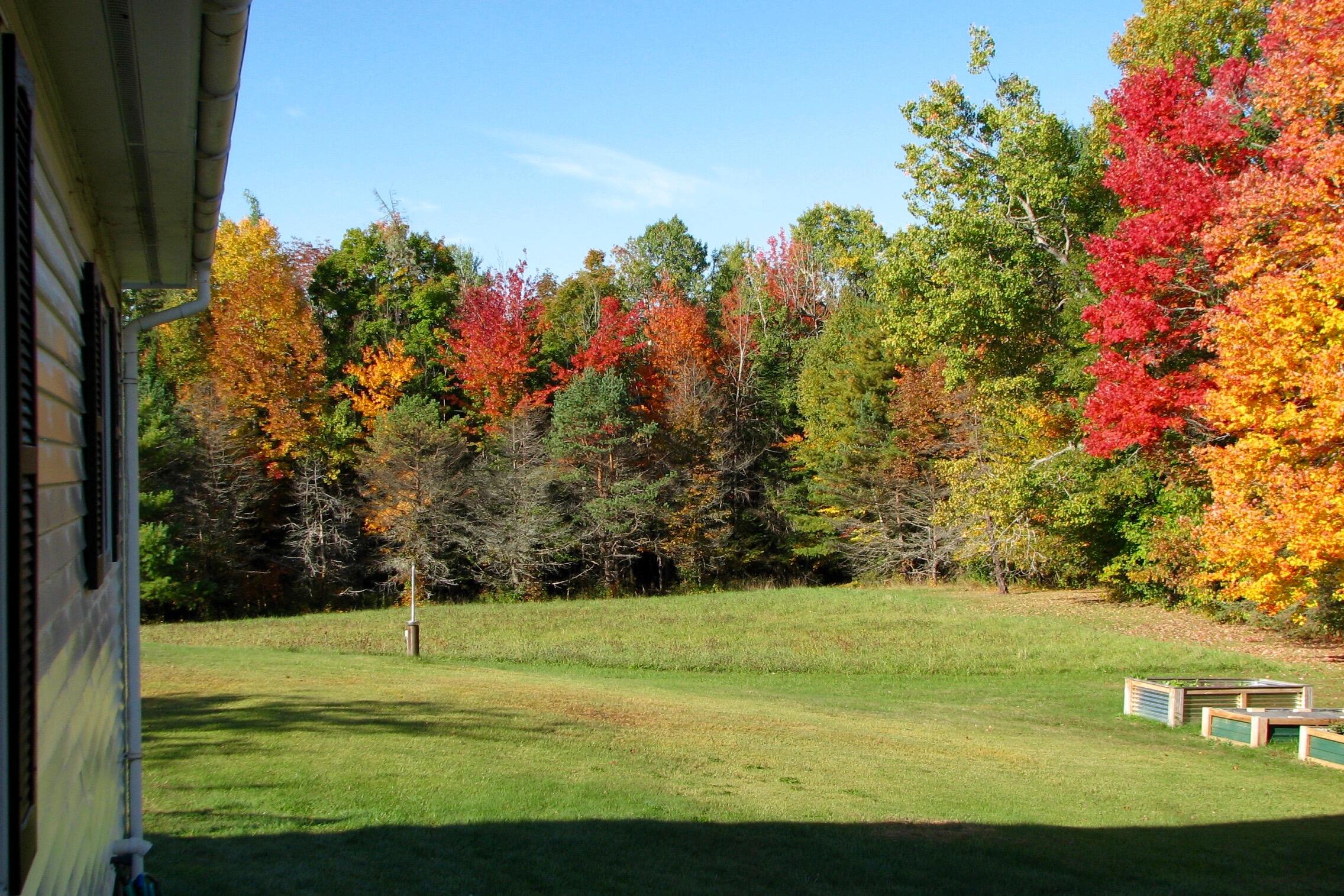 540 Downs Road Sebec, ME 04481 - Photo 5 of 59 Sue Santore 3