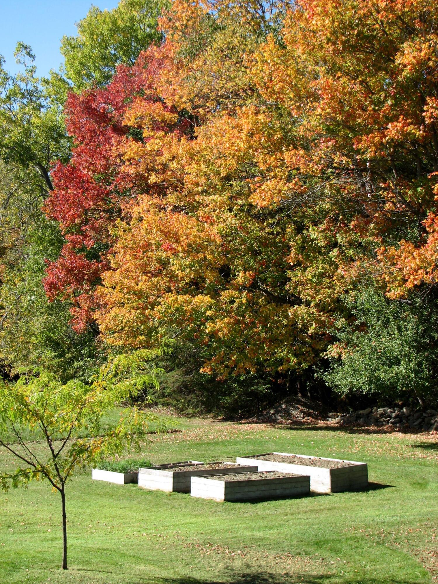 540 Downs Road Sebec, ME 04481 - Photo 52 of 59 Sue Santore 15