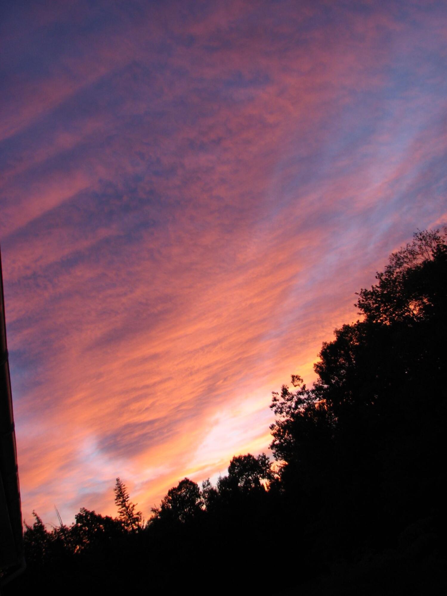 540 Downs Road Sebec, ME 04481 - Photo 53 of 59 Sue Santore 1