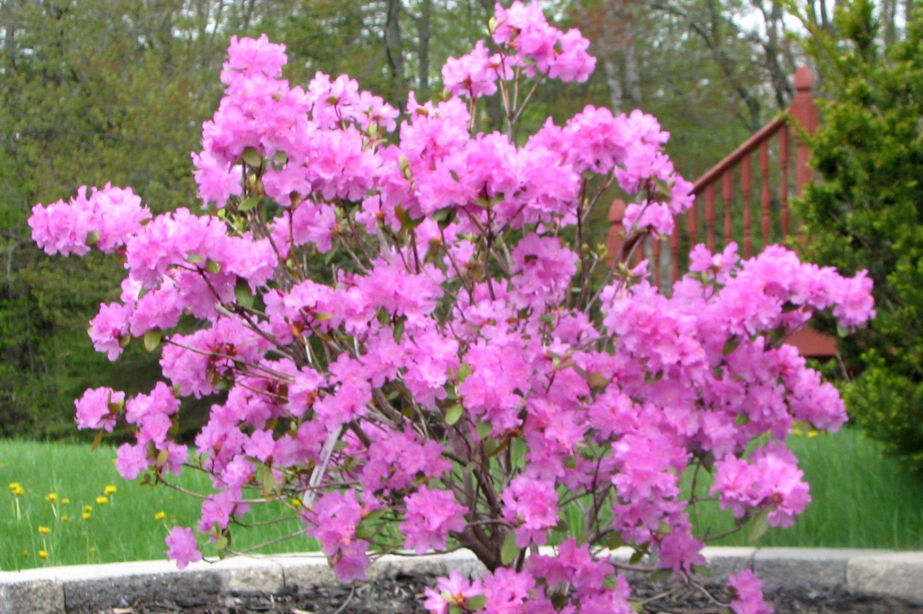 540 Downs Road Sebec, ME 04481 - Photo 6 of 59 Sue Santore 12