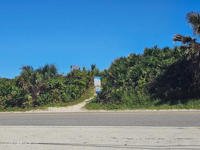 a small yard with a plant in front of it
