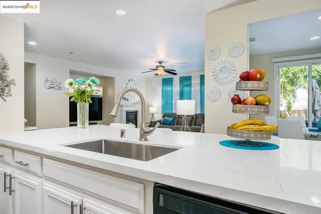 a kitchen with a sink and a potted plant on the counter