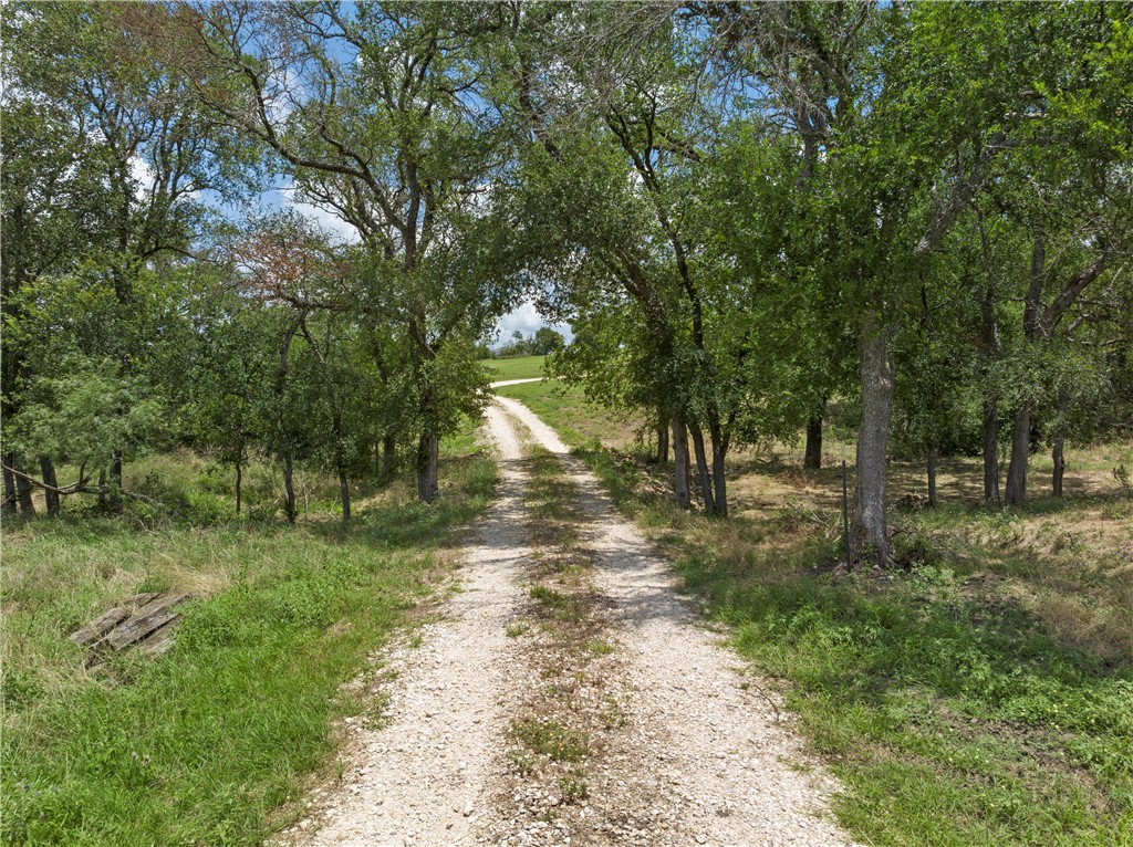 404 Cr 459 Road Lott, TX 76656 - Photo 47 of 64