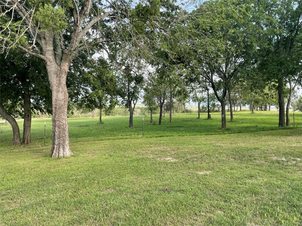 404 Cr 459 Road Lott, TX 76656 - Photo 54 of 64