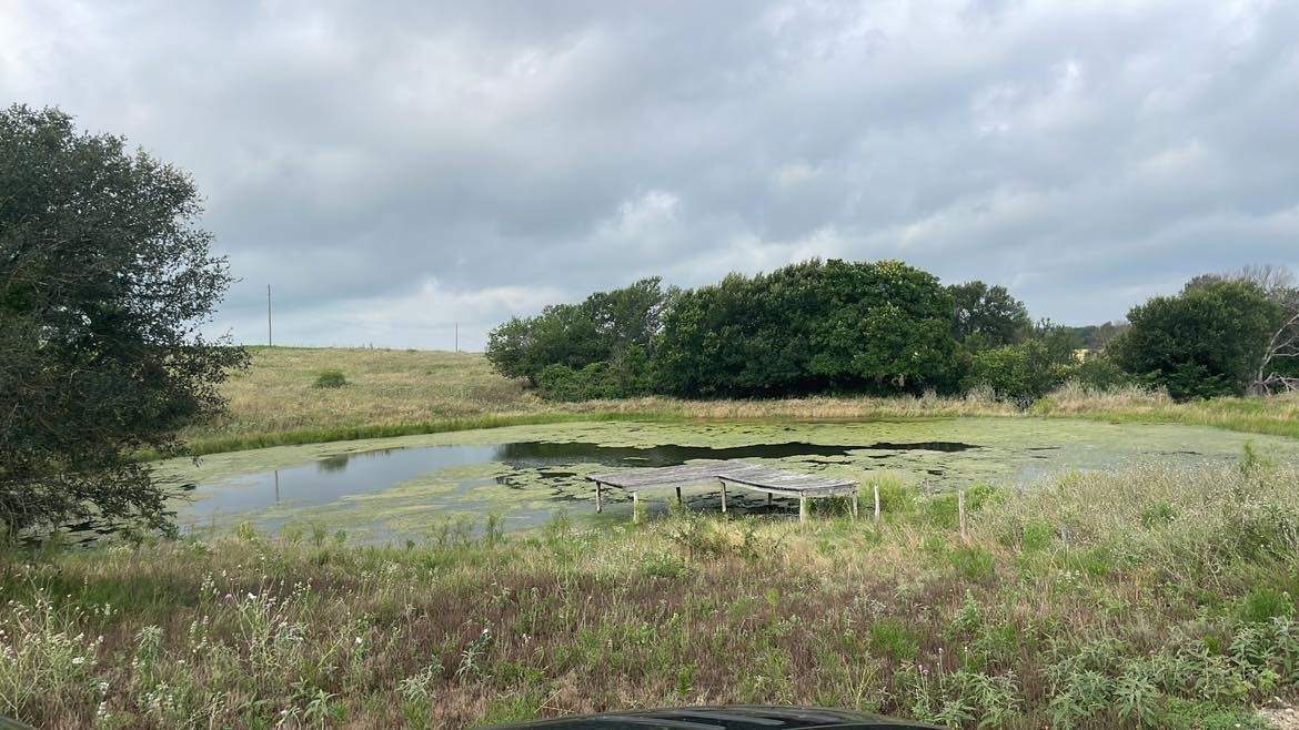 404 Cr 459 Road Lott, TX 76656 - Photo 61 of 64