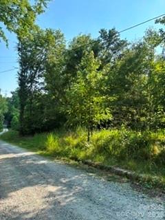 Tba Ricks Road Sharon, SC 29742 - Photo 3 of 5