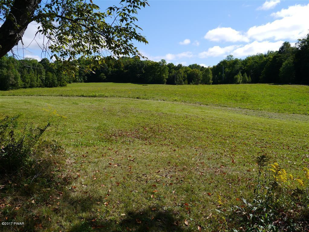 37 Old Hathaway Road Equinunk, PA 18417 - Photo 3 of 14