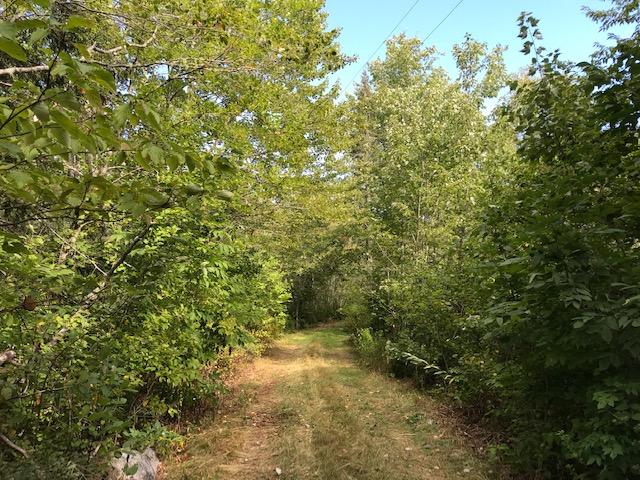182 Lake Road Perry, ME 04667 - Photo 55 of 55 IMG_3061