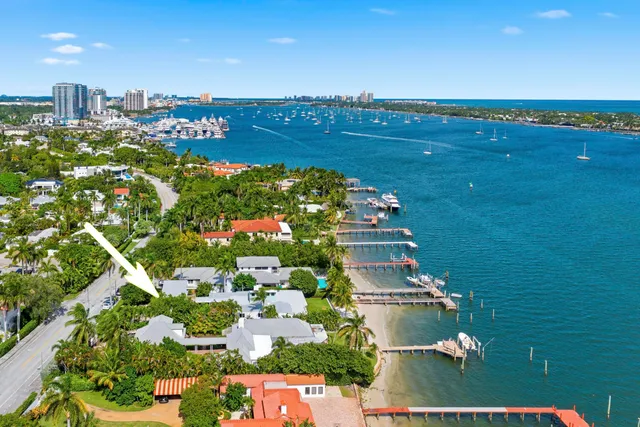 a view of a backyard with a plants and palm trees