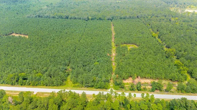 $77,500 | 0 Highway 23 Waynesboro Ga 30830, Nahunta, GA 31553