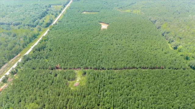 $77,500 | 0 Highway 23 Waynesboro Ga 30830, Nahunta, GA 31553