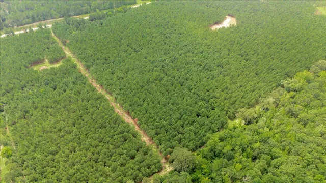 $77,500 | 0 Highway 23 Waynesboro Ga 30830, Nahunta, GA 31553