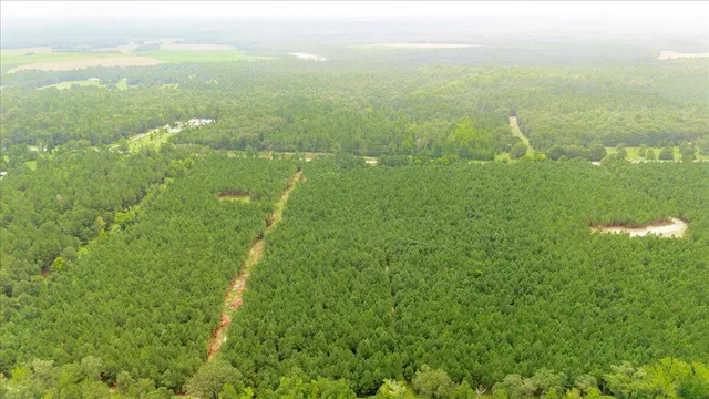 $77,500 | 0 Highway 23 Waynesboro Ga 30830, Nahunta, GA 31553