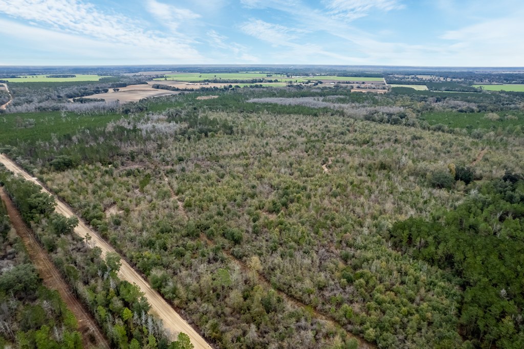 2 Pilgram Ch Road Gordon, AL 36343 - Photo 5 of 17
