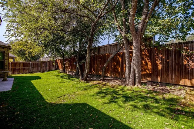 a view of a backyard with tree s