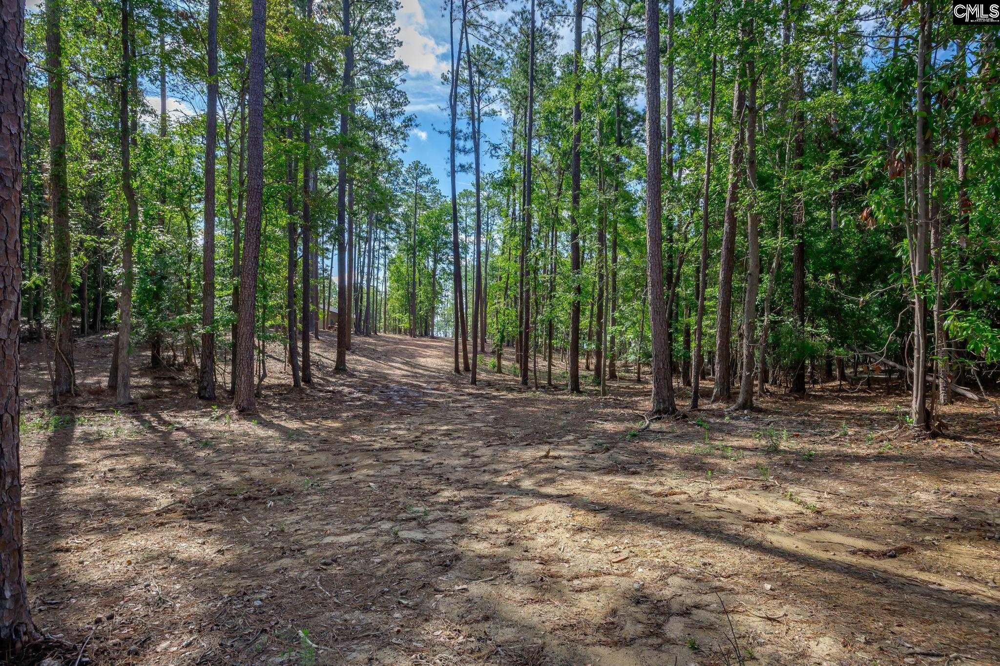 1148 Shull Island Road Gilbert, SC 29054 - Photo 12 of 20