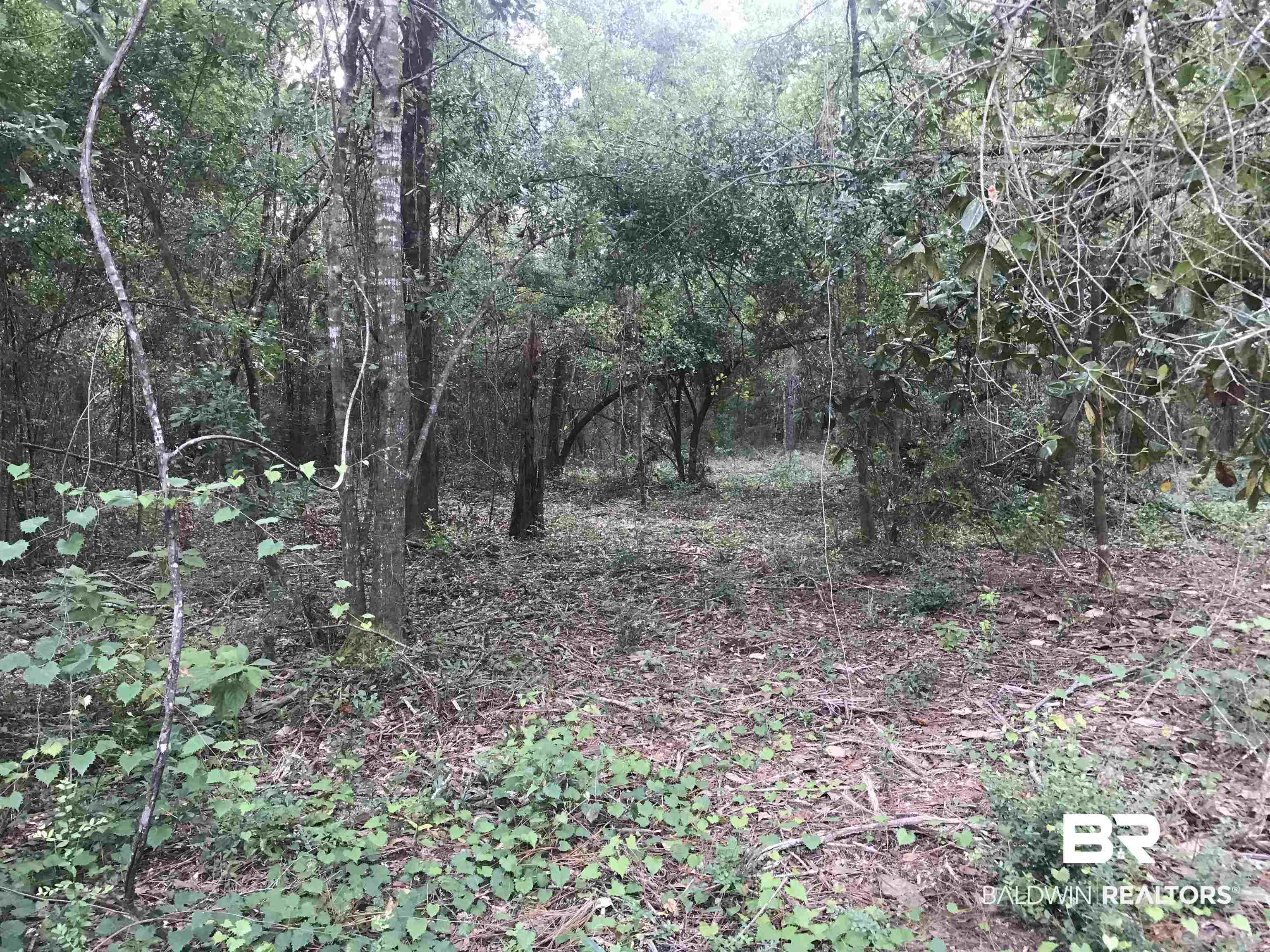 14268 State Highway Silverhill, AL 36576 - Photo 14 of 17 View of nature