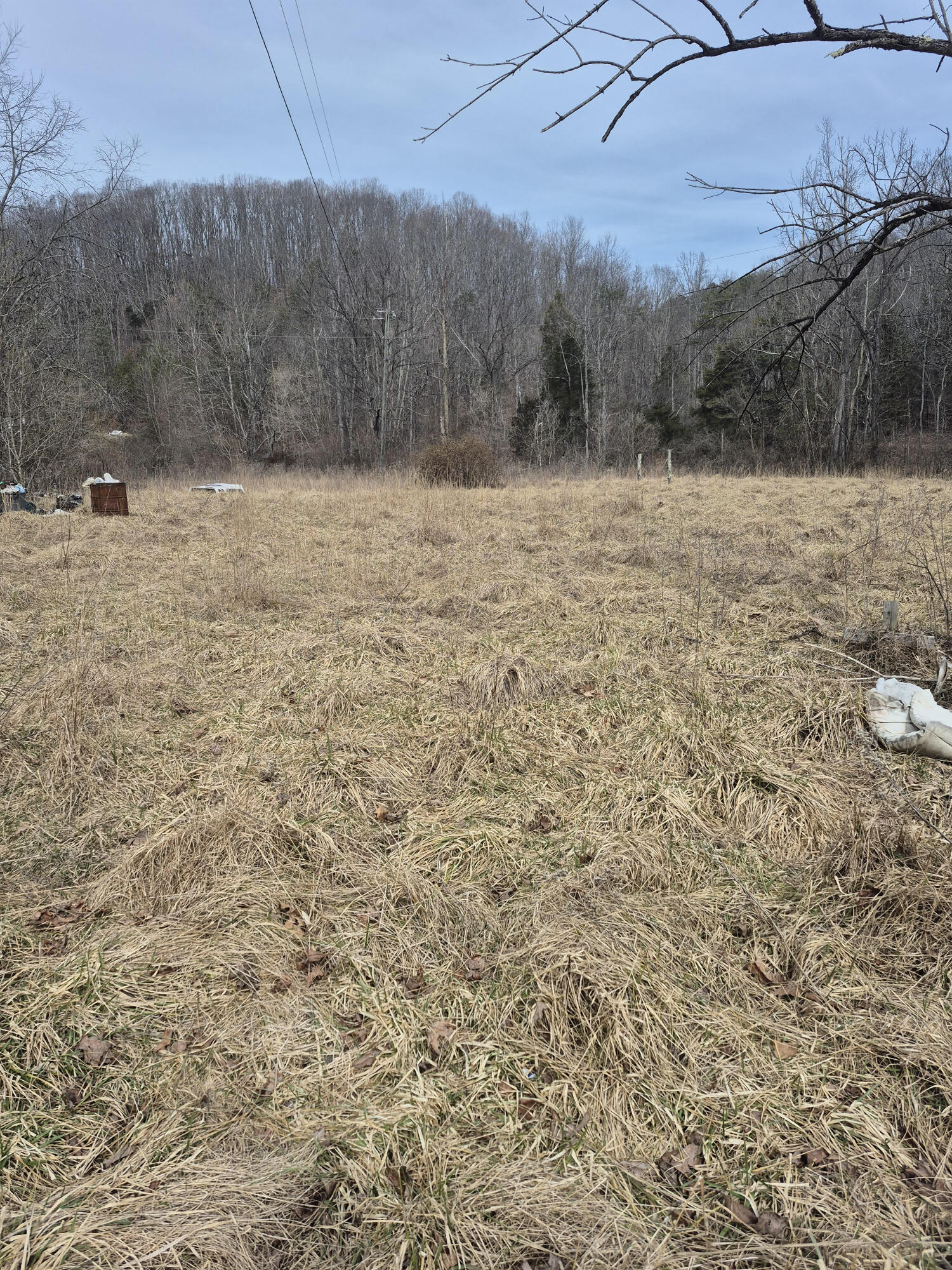 1075 Lithia Road Buchanan, VA 24066 - Photo 1 of 7 a view of open area with green space