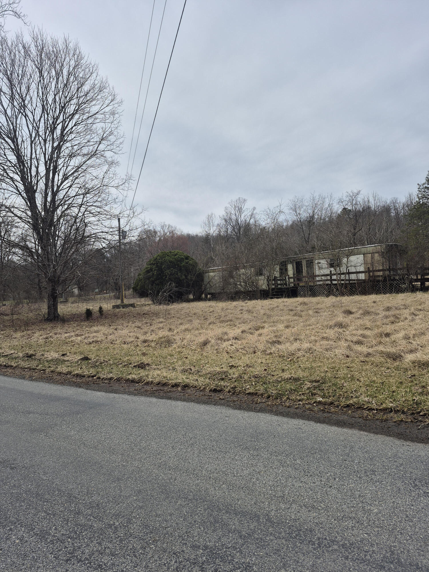 1075 Lithia Road Buchanan, VA 24066 - Photo 5 of 7 a view of lake with houses