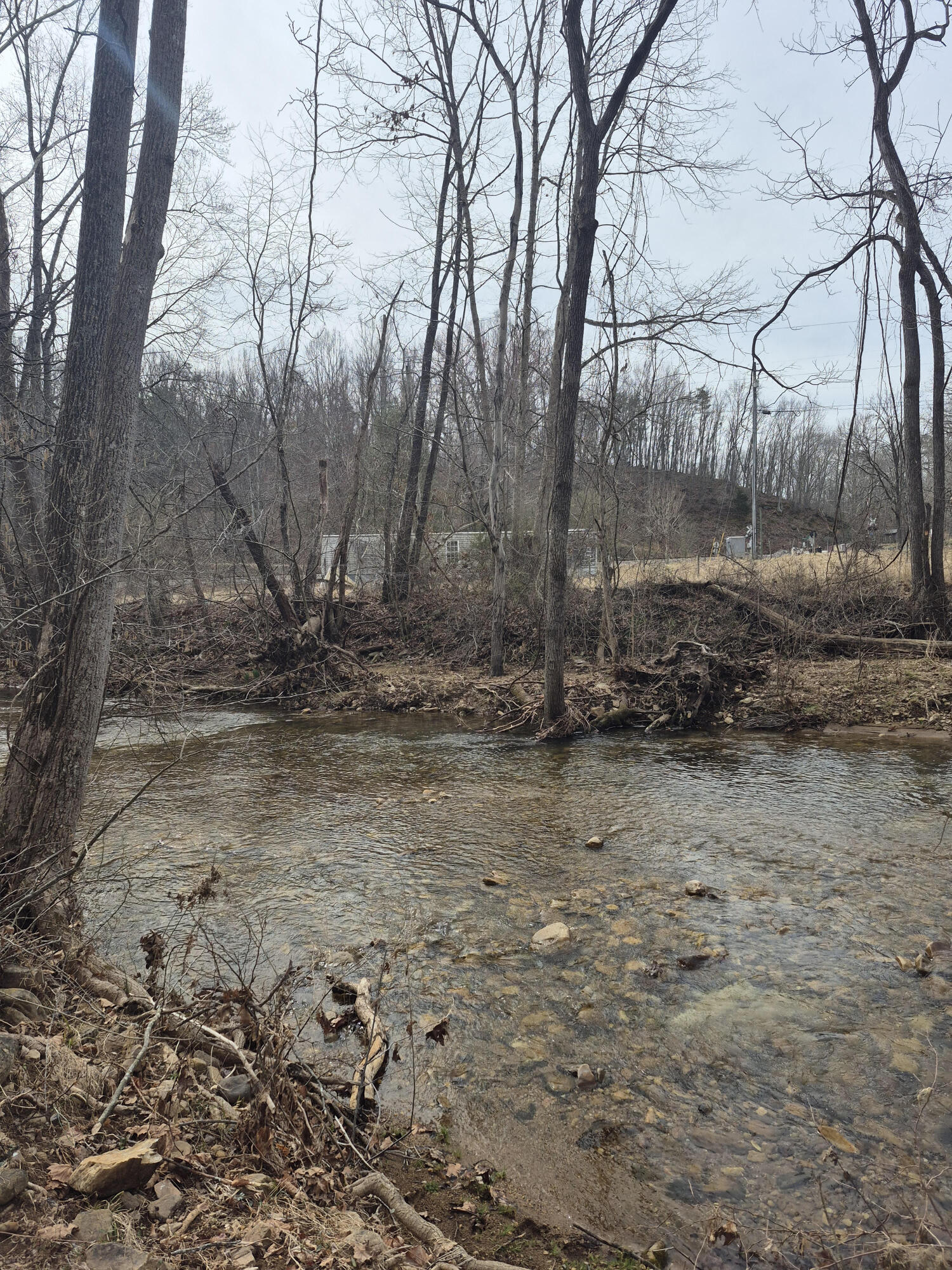 1075 Lithia Road Buchanan, VA 24066 - Photo 6 of 7 a backyard of a house with lots of green space