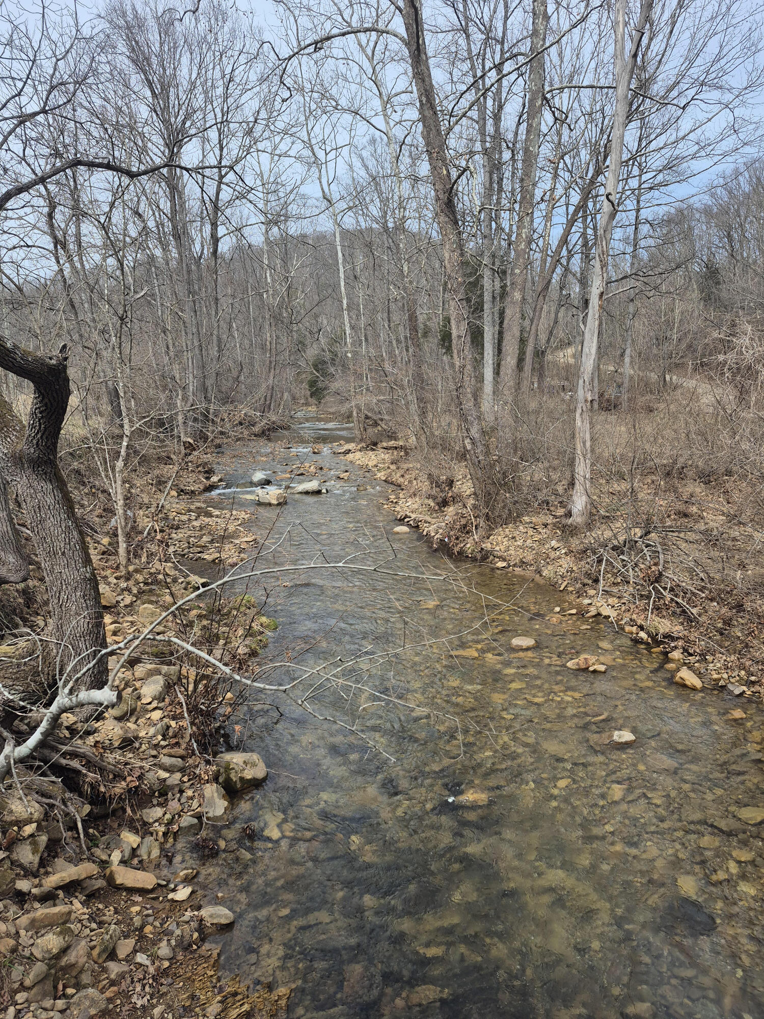 1075 Lithia Road Buchanan, VA 24066 - Photo 7 of 7