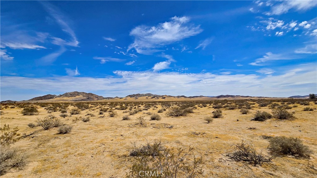 0 Greenview Road Newberry Springs, CA 92365 - Photo 4 of 40 Gallery Image 4