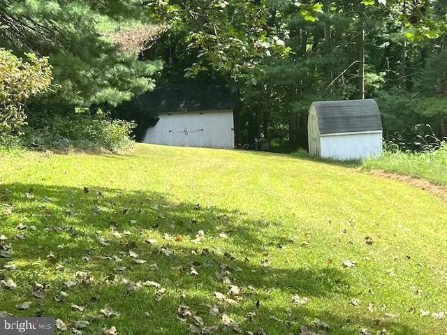 a view of a big yard with large trees