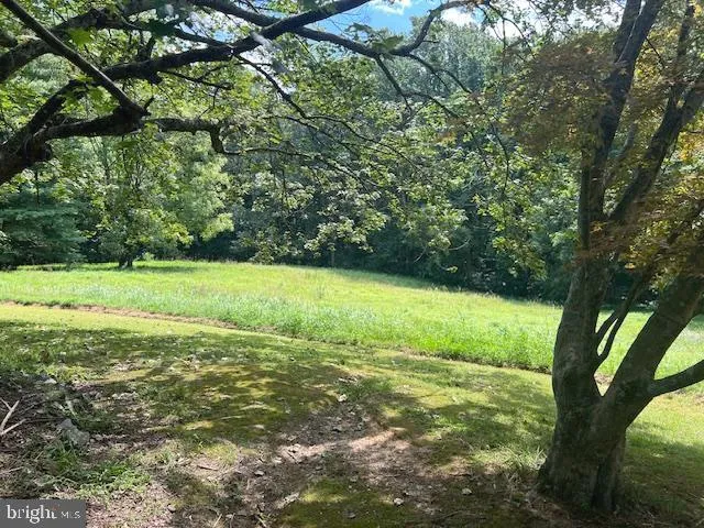 a view of a field with an trees