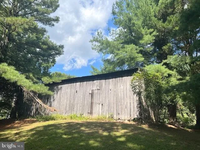 a view of backyard with tree