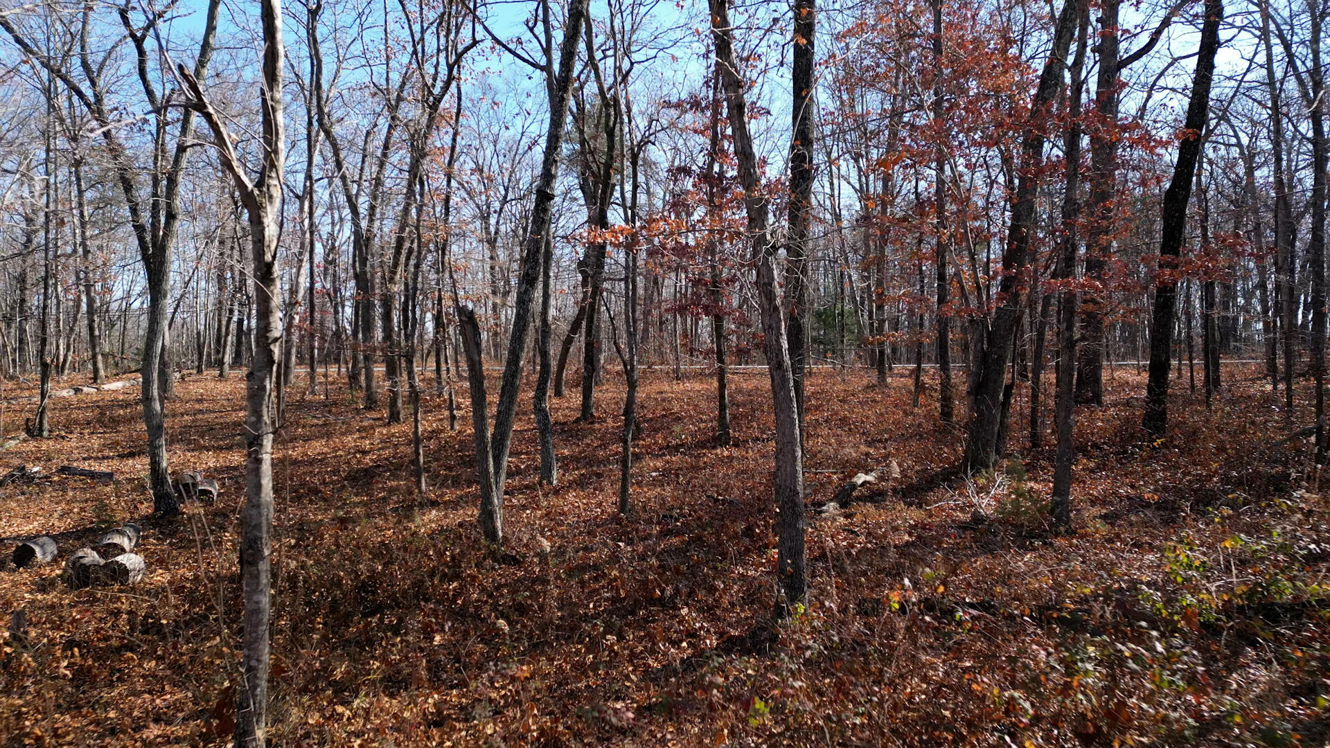 7907 Hixson Springs Road, Unit 17 Signal Mountain, TN 37377 - Photo 3 of 7 Still 3