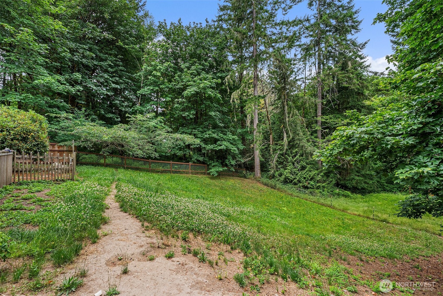 6333 Boardman Road Northwest Olympia, WA 98502 - Photo 35 of 38 a view of a yard with plants and large trees