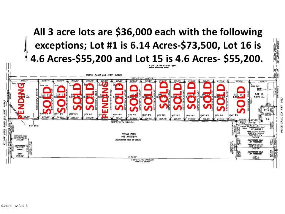Lot 16 Kayla Church Point Church Point, LA 70525 - Photo 3 of 3