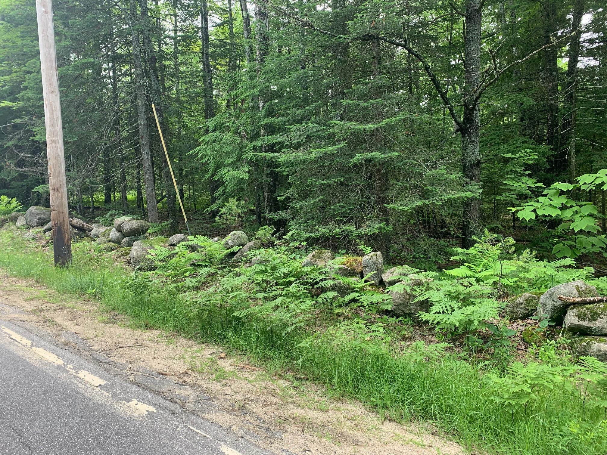 15 Bridgton Road Harrison, ME 04040 - Photo 11 of 16 MORE ROCK WALLS