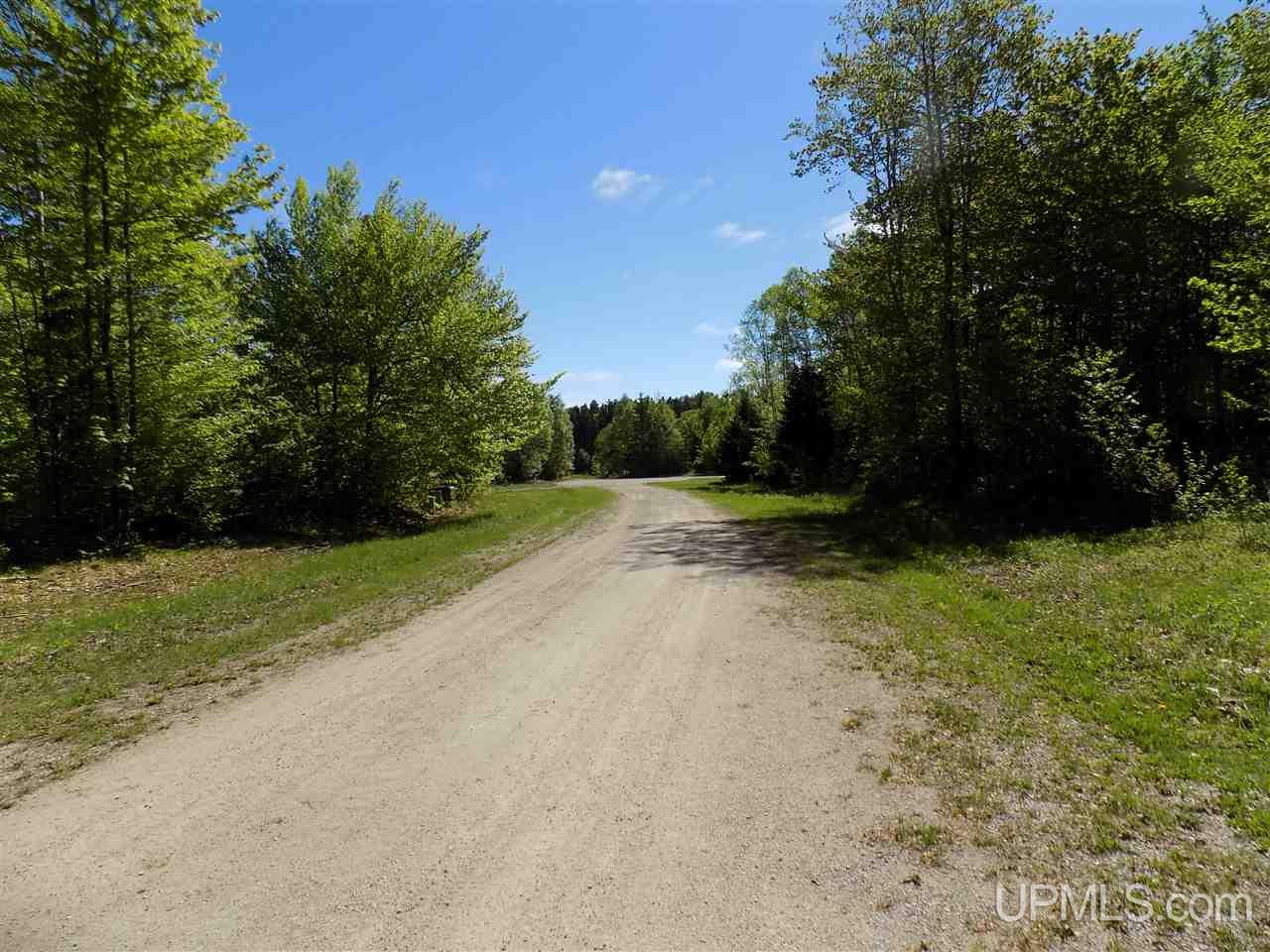 Tbd Northshore Bluffs Road, Unit 4 Manistique, MI 49854 - Photo 10 of 21