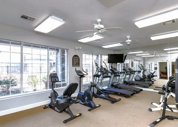 $799 | 17111 Hafer Road, Unit 528, Houston, TX 77090