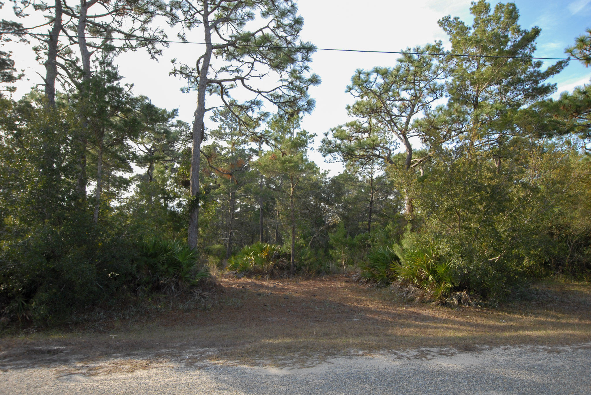 Lot 15 Sugar Cove Road Santa Rosa Beach, FL 32459 - Photo 4 of 5 2-DSC_8826