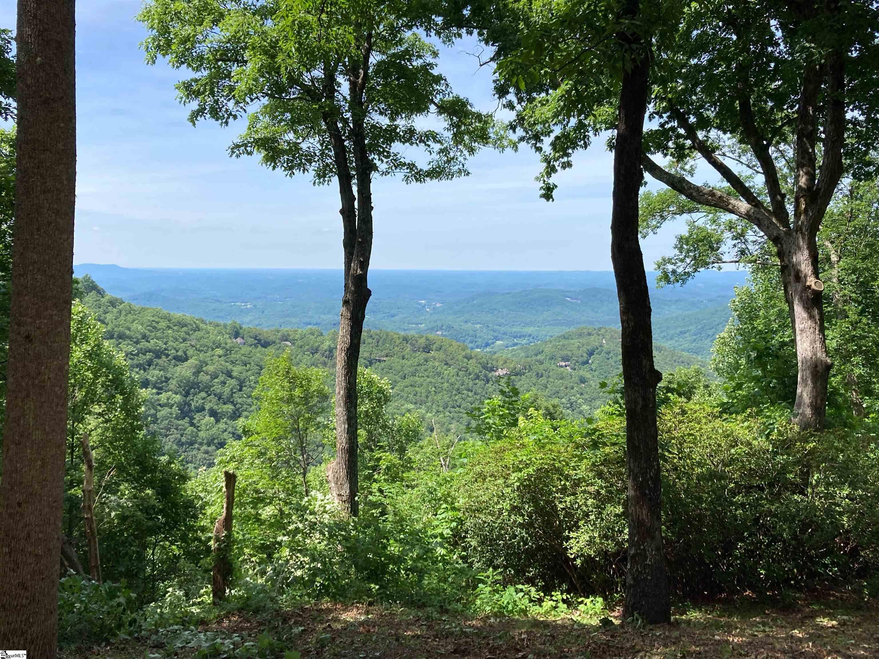 1399 Mountain Summit Road Travelers Rest, SC 29690 - Photo 3 of 7
